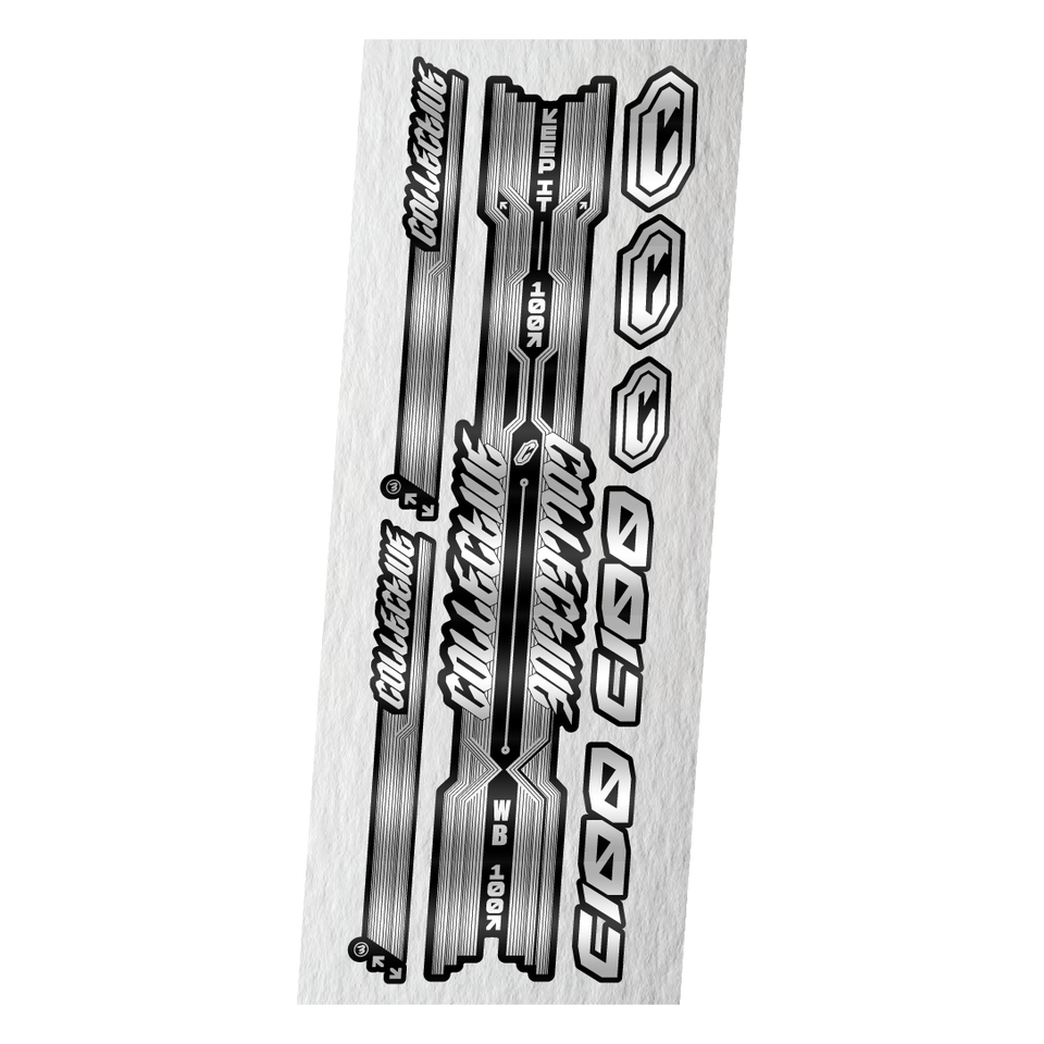 Copy "C100" STICKERS KIT