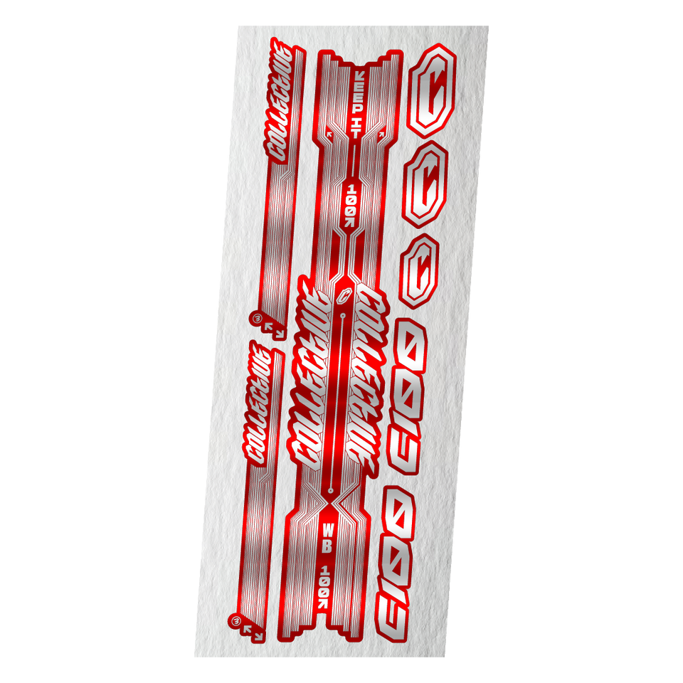 Copy "C100" STICKERS KIT