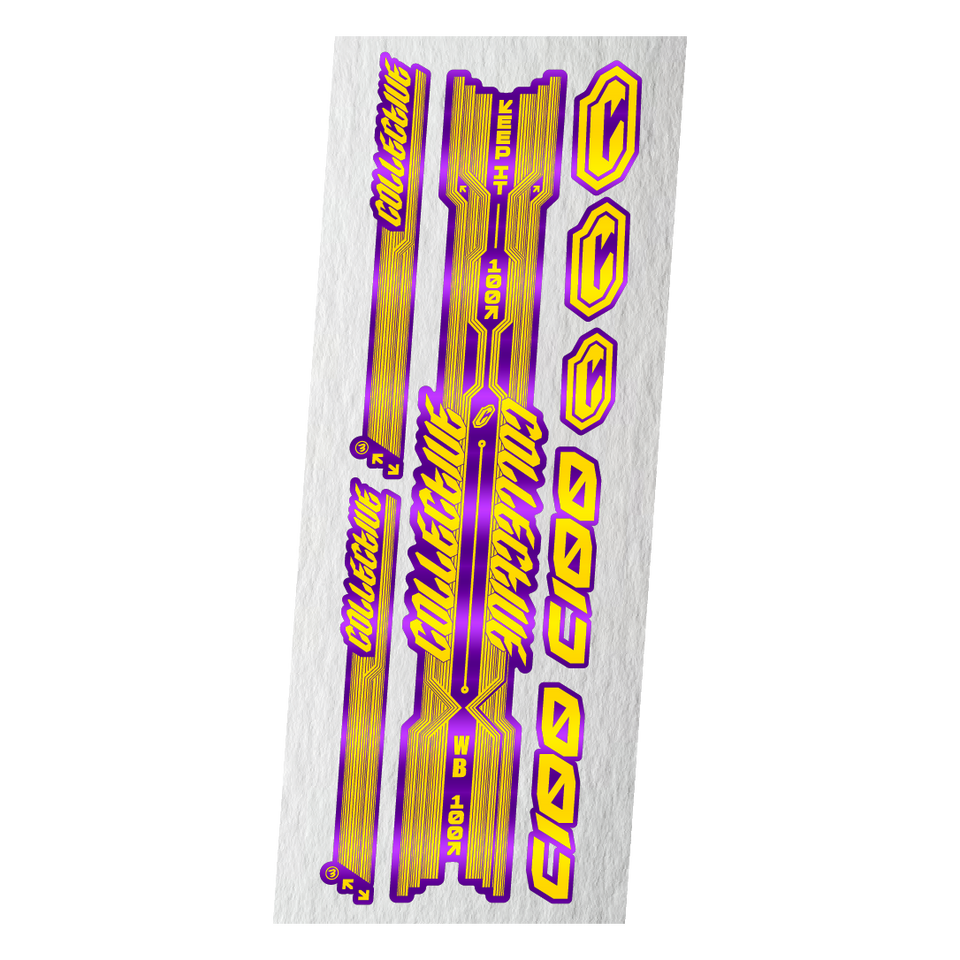Copy "C100" STICKERS KIT