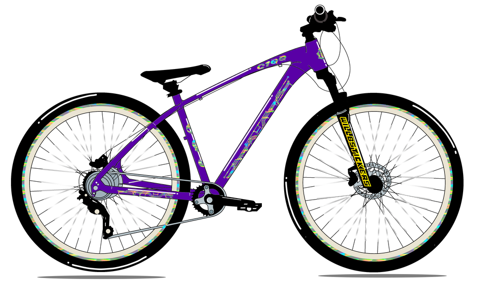 BIKE CUSTOM C100 WILLBSTICKERS