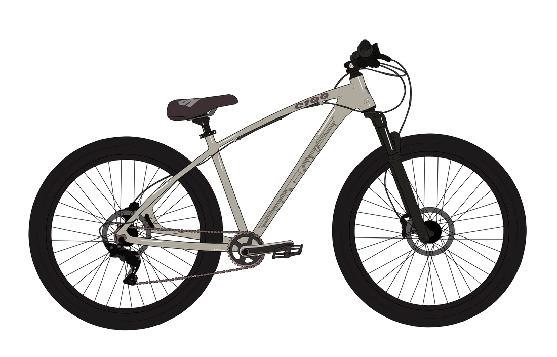 "C100" STICKER WILL B Parisian Bike Stickers Kit